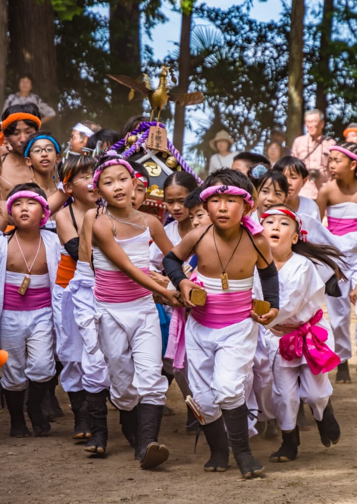 D027「中根っ子」