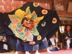 D047「舞狂う」