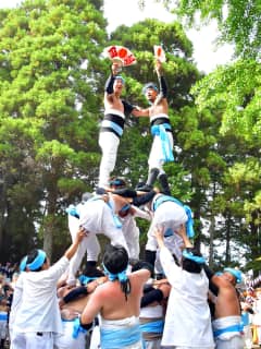 D024「上総の奇祭」